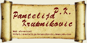 Pantelija Krupniković vizit kartica
